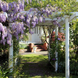 Accommodation Payment